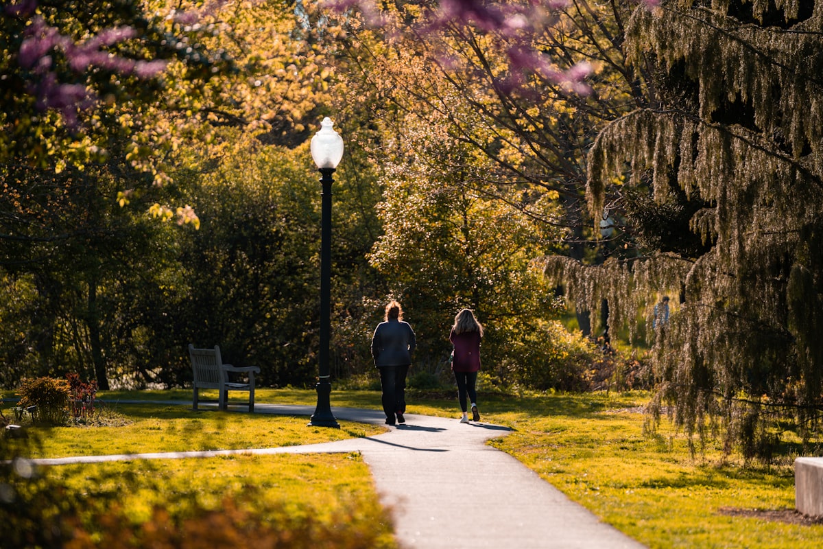 Walking for Weight Loss: A 4-Week Progressive Plan