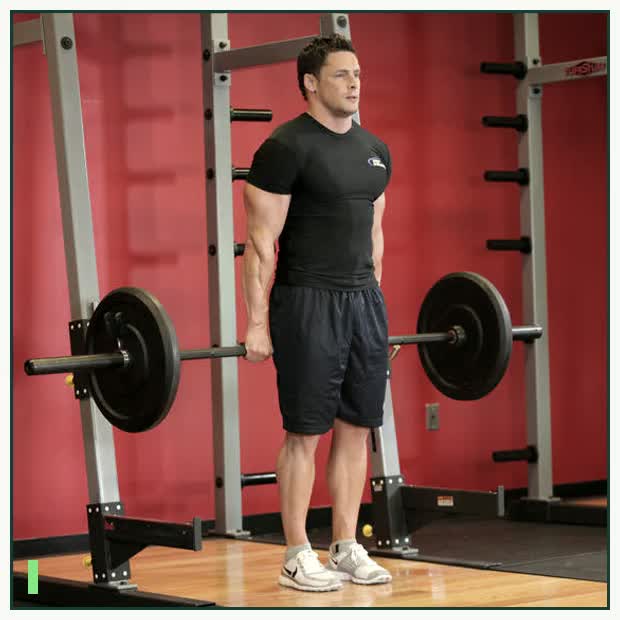 Barbell Shrug Behind The Back demonstration