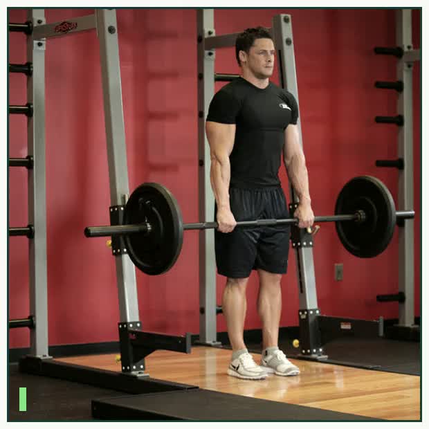 Barbell Shrug demonstration