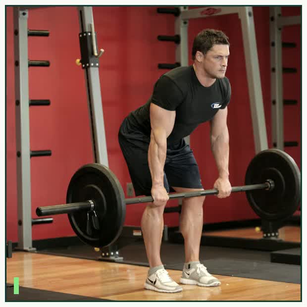 Bent Over Barbell Row demonstration