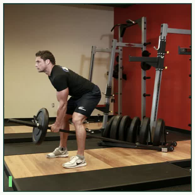 Bent Over One-Arm Long Bar Row demonstration