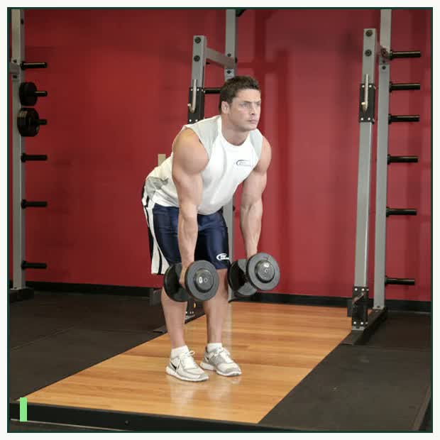 Bent Over Two-Dumbbell Row With Palms In demonstration