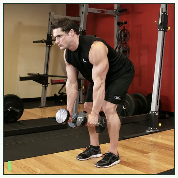 Bent Over Two-Dumbbell Row demonstration