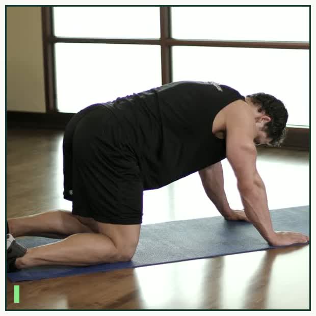 Cat Stretch demonstration