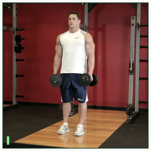 Dumbbell Shrug demonstration