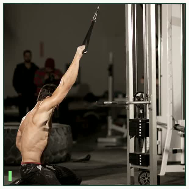 Kneeling Single-Arm High Pulley Row demonstration