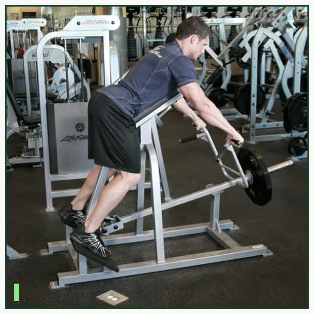 Lying T-Bar Row demonstration