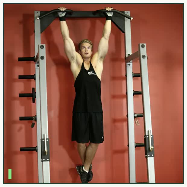 Rocky Pull-Ups/Pulldowns demonstration