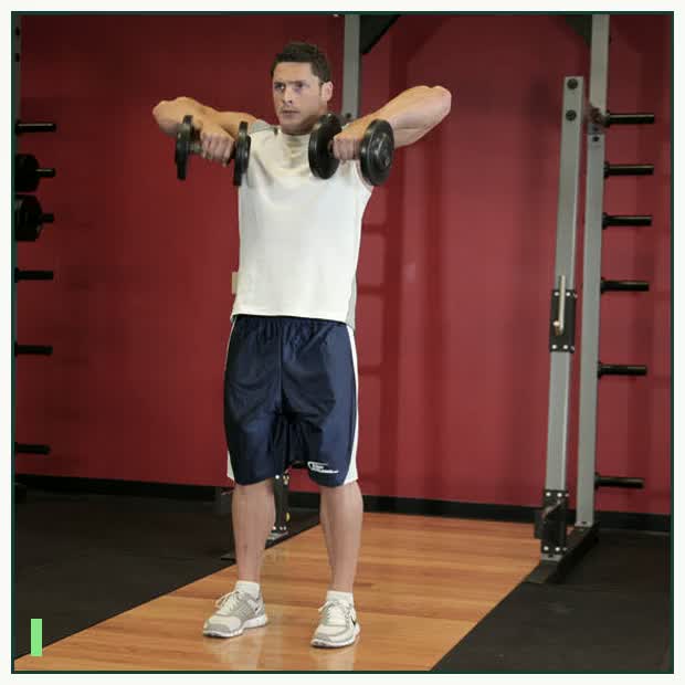 Standing Dumbbell Upright Row demonstration